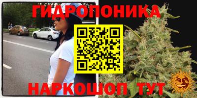 синтетический гашиш Анжеро-Судженск