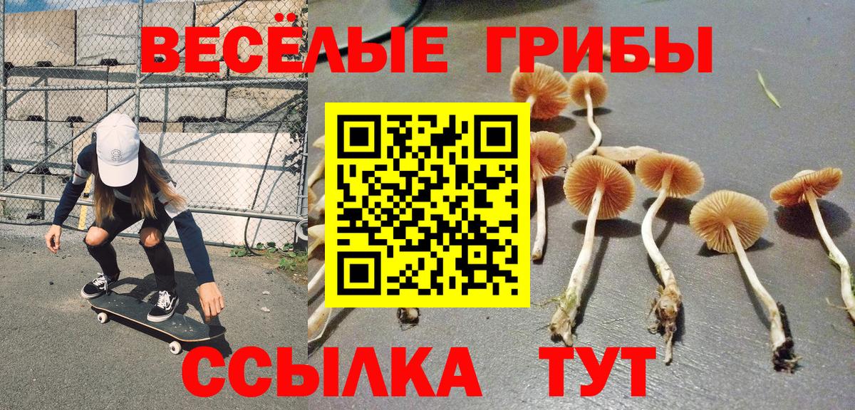 купить наркотик  Вход с VPN  Белгород  Псилоцибиновые грибы Psilocybine cubensis 