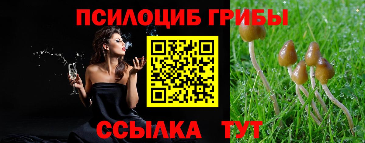 Галлюциногенные грибы Magic Shrooms Белгород